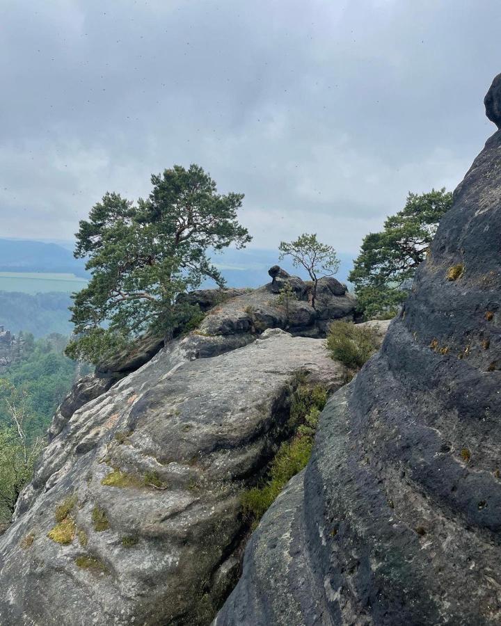 Bergblick Apartment SäChsische Schweiz Sebnitz Bagian luar foto