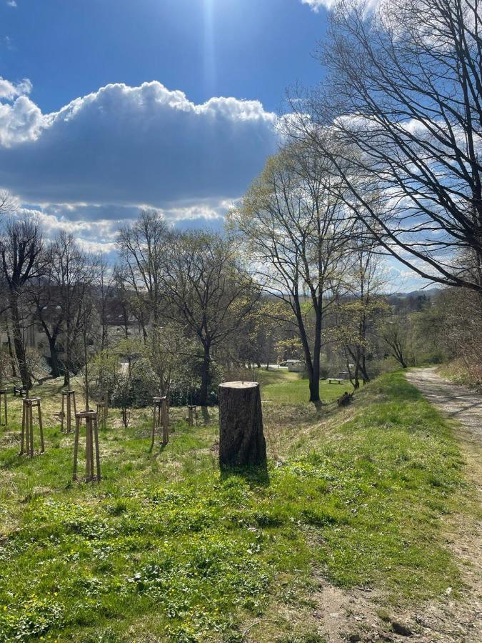 Bergblick Apartment SäChsische Schweiz Sebnitz Bagian luar foto