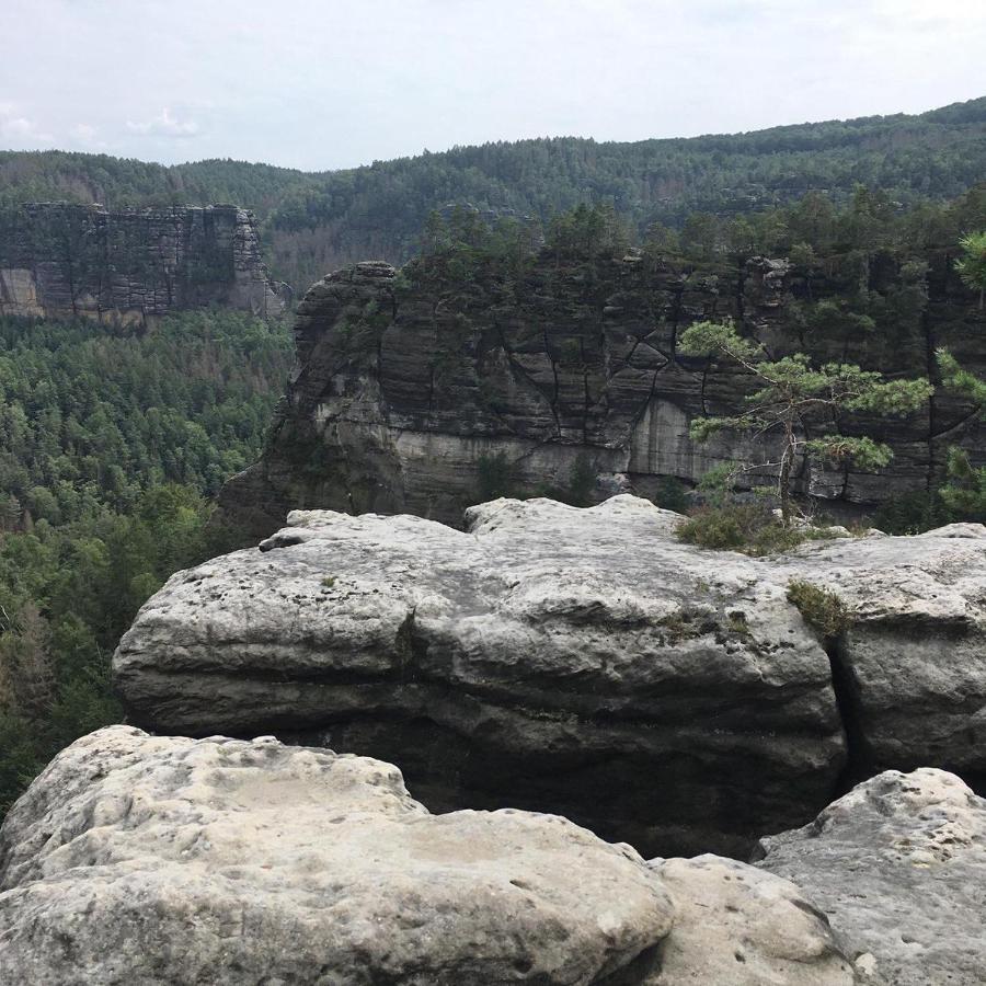 Bergblick Apartment SäChsische Schweiz Sebnitz Bagian luar foto