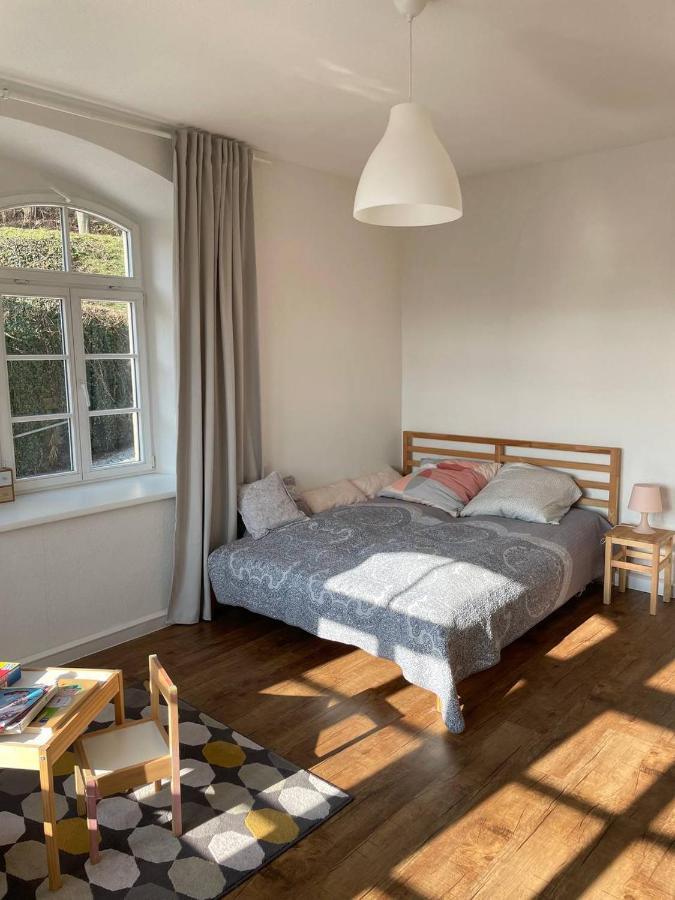 Bergblick Apartment SäChsische Schweiz Sebnitz Bagian luar foto